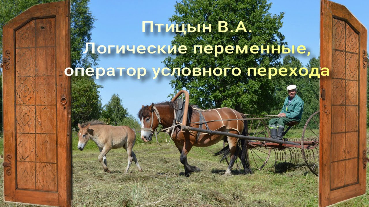 Логические переменные и оператор условного перехода: старт