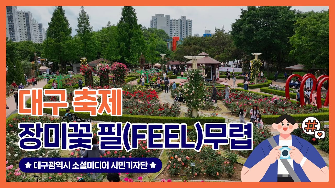 대구 5월 축제 🌹장미꽃 필(Feel)무렵