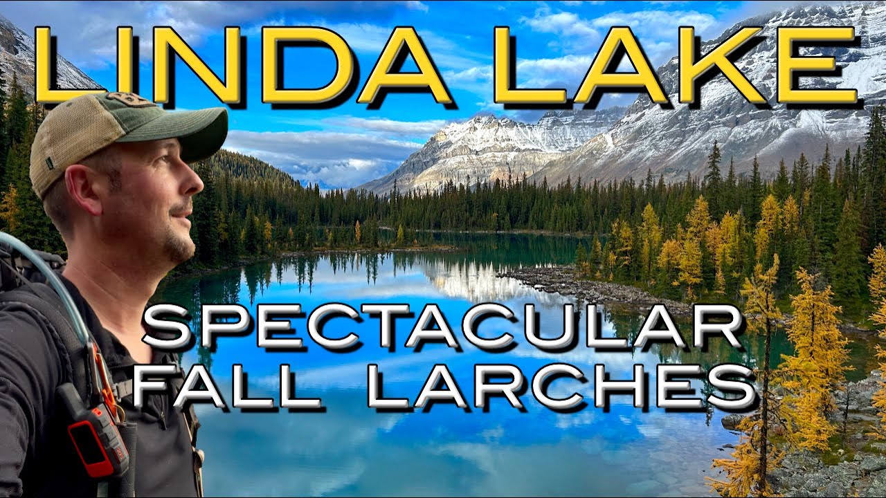 The Ultimate Larch Hike: Lake O&rsquo;Hara to Linda Lake in Yoho National Park, British Columbia Canada