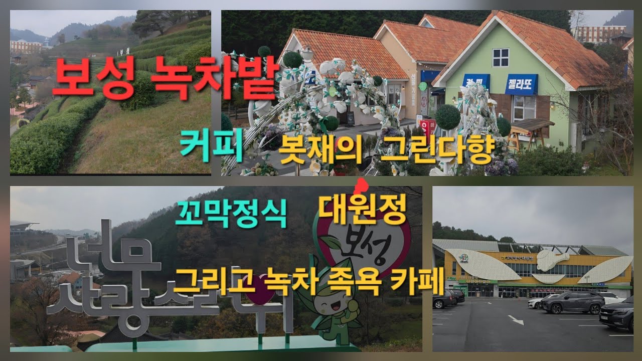보성 녹차밭에서 (봇재의 그린다향,대원정,족욕카페) #전라도여행 #전라남도 #tour ##travel #여행브이로그 #브이로그영상 #여행유튜버 #가족여행 #여행꿀팁 