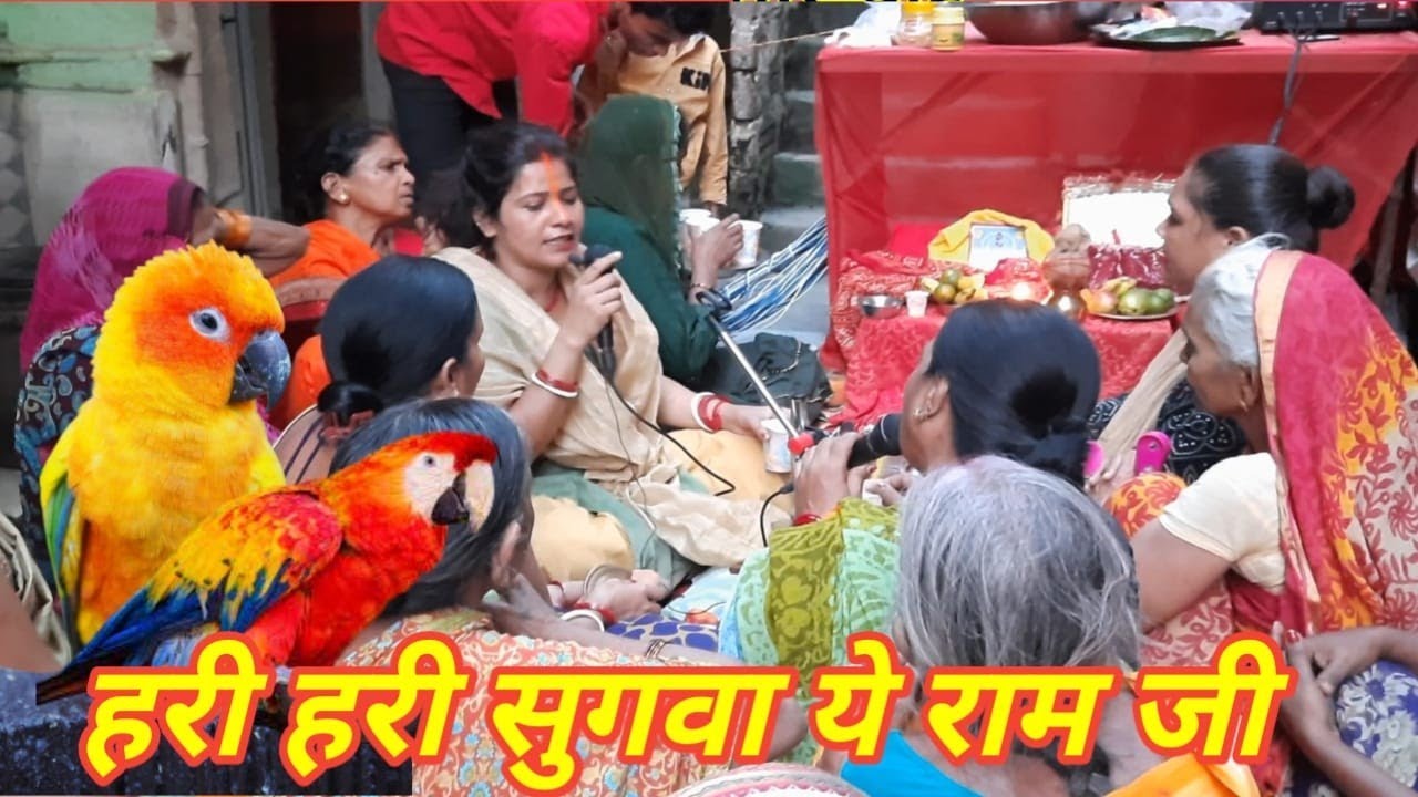 रतन दोनो ठोरवा ये राम जी // शिव गुरु चर्चा भजन कीर्तन // bhakti bhajan