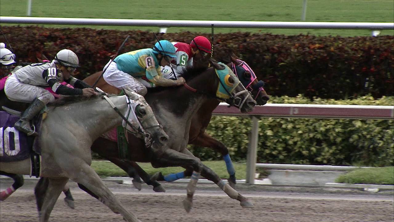 Gulfstream Park Replay Show | July 2, 2016