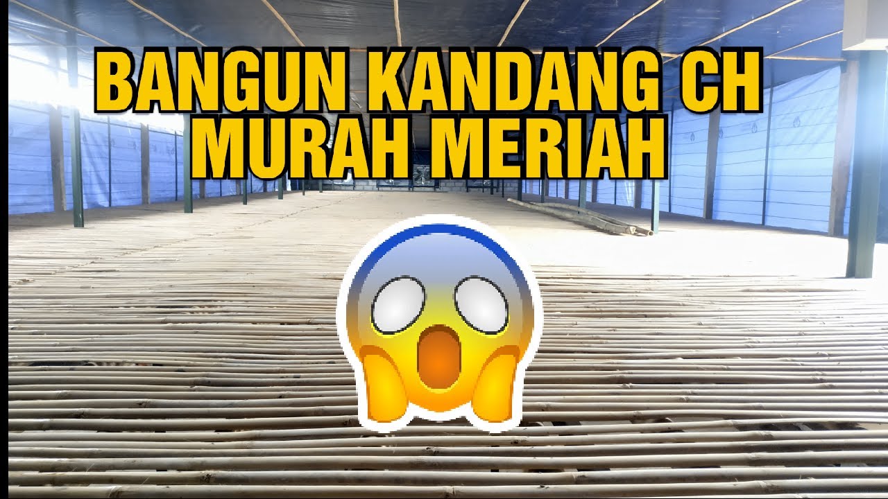 Bangun Kandang Ayam CH Murah Meriah
