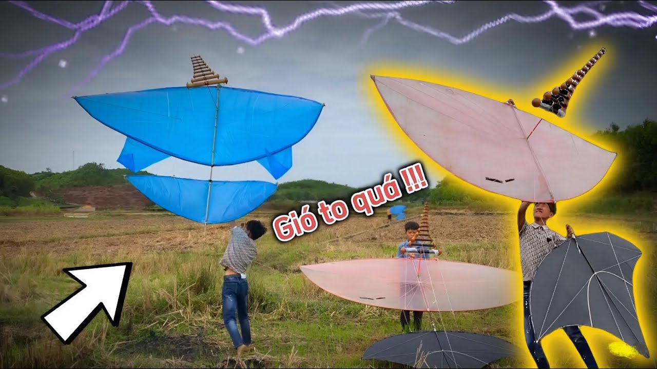 Thả Diều Đuôi Cá 3m Cõng Hòa Còi D40 13 Quả Và Diều 3m1 Cõng Bò D40 9 Quả Cùng Siêu Phẩm | MAIL CV