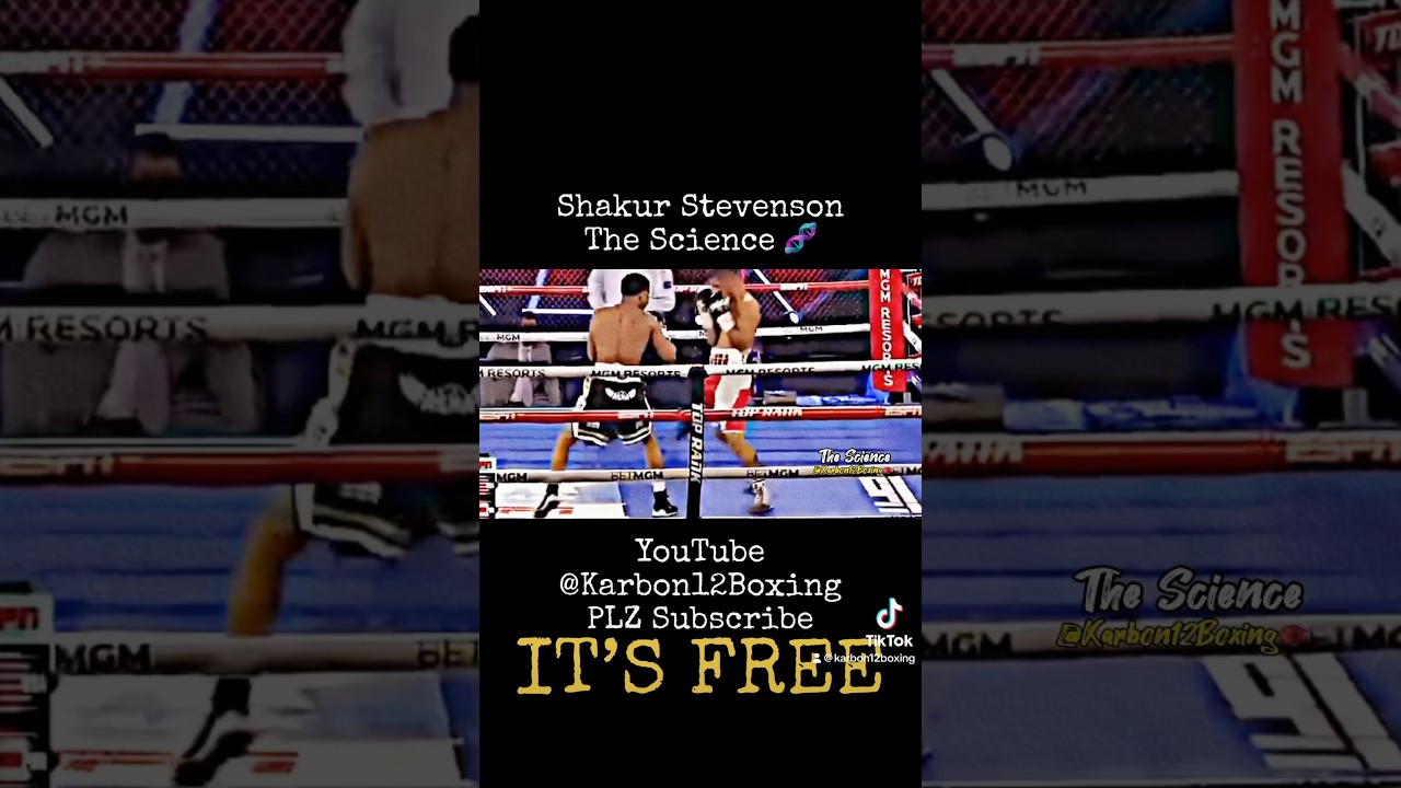 Boxing Highlights Shakur Stevenson #shakurstevenson #boxinggems Floyd Mayweather 2k242 2k Fight Hype