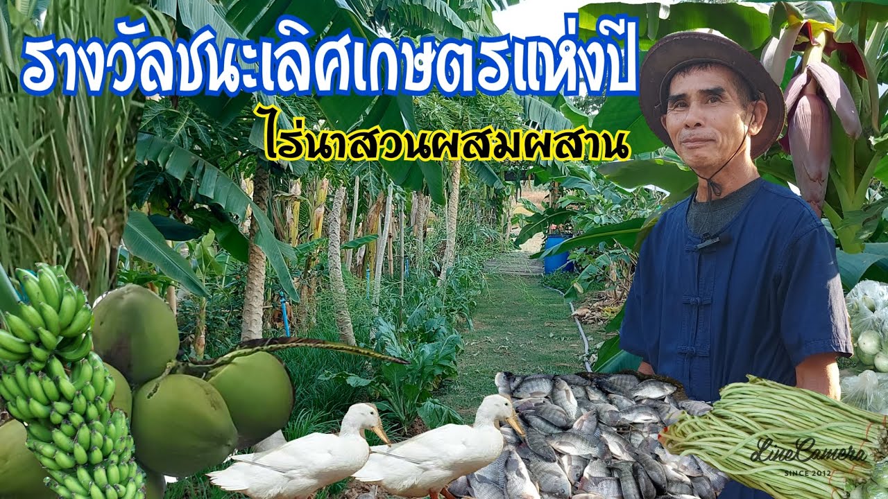 เกษตรกรดีเด่นแห่งปีคนแห่ดูไม่ขาดสาย||รางวัลชนะเลิศ2ปีซ้อน#เกษตรอินทรีย์