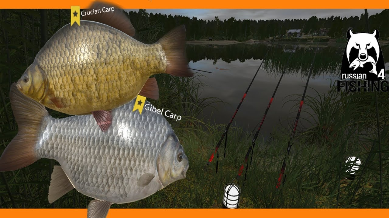 russian FISHING 4 - Local muito bom - Mosquito Lake 🎣