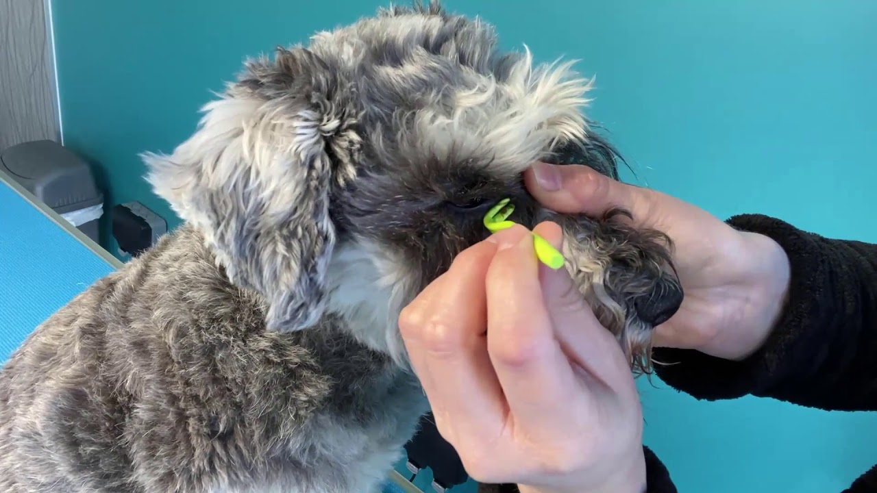 Health check 5 - Removing a Tick