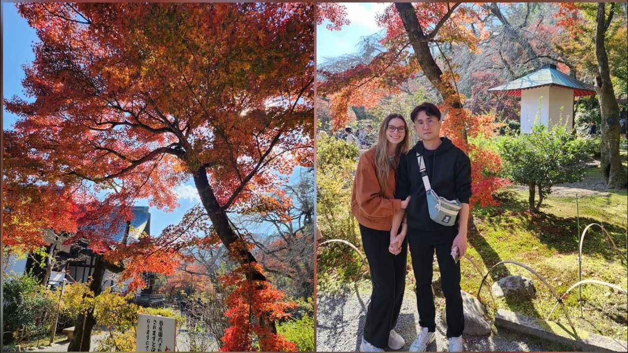 [Nov 17] Arashiyama Noon - Tenryu-ji