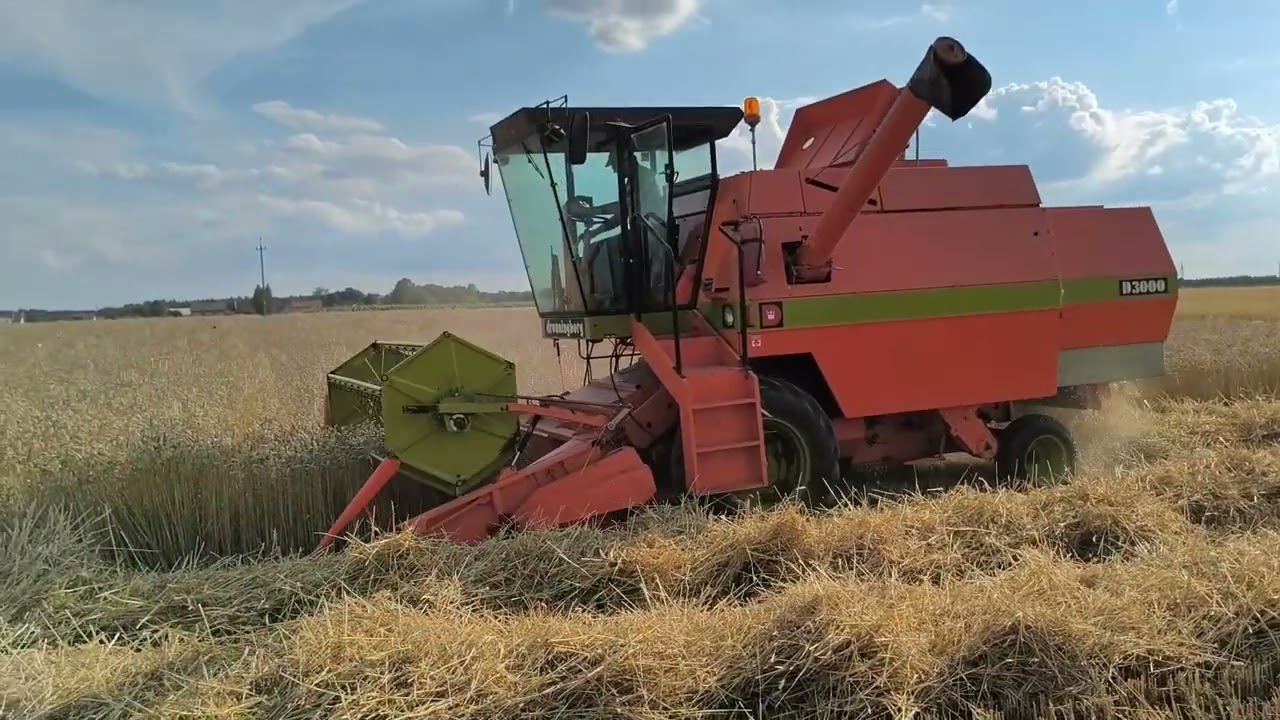 Żniwa 2025 Dronningborg D3000