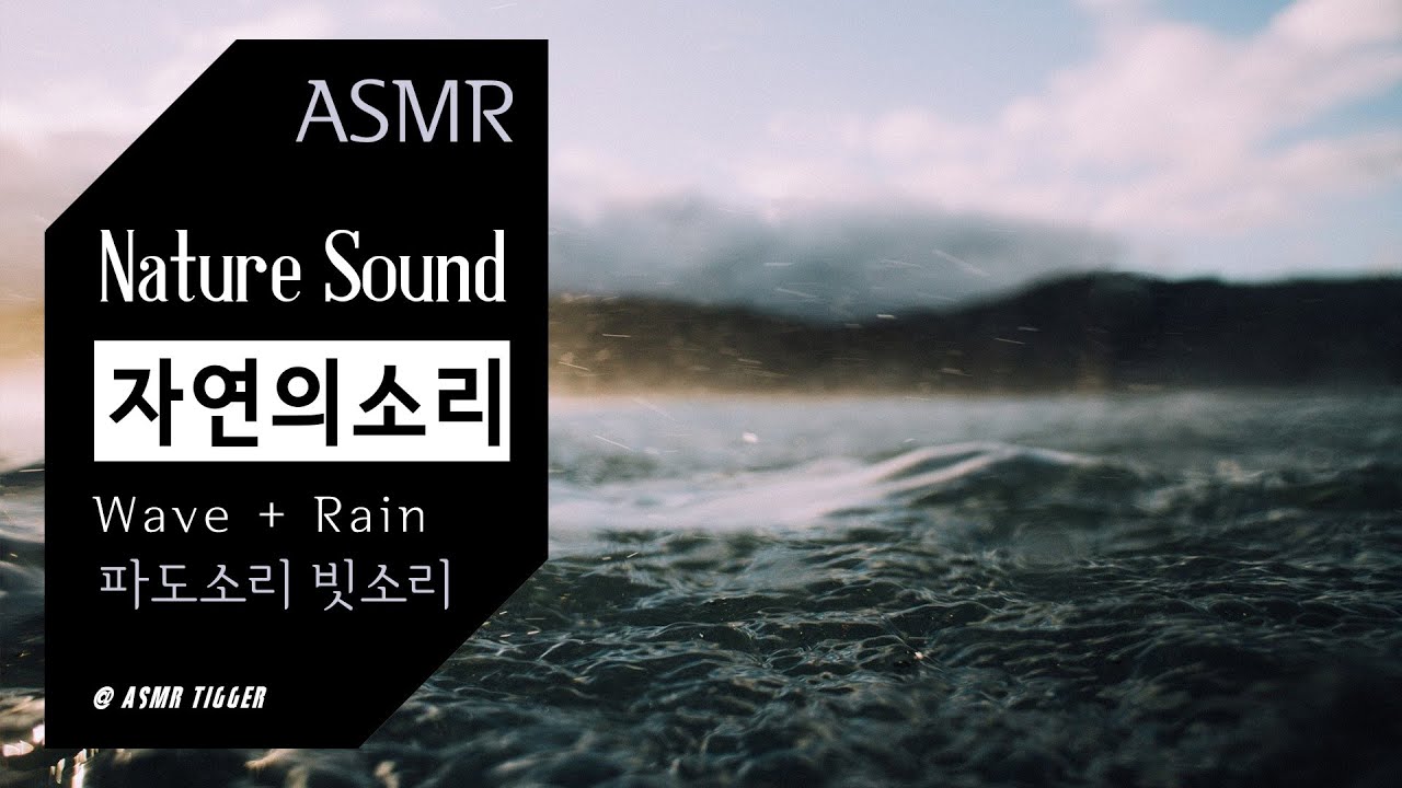 [ASMR Nature] 비내리는 바닷가에서🌊 | 자연의소리, ambience, sleeping, 입체음향, insomnia, relaxing