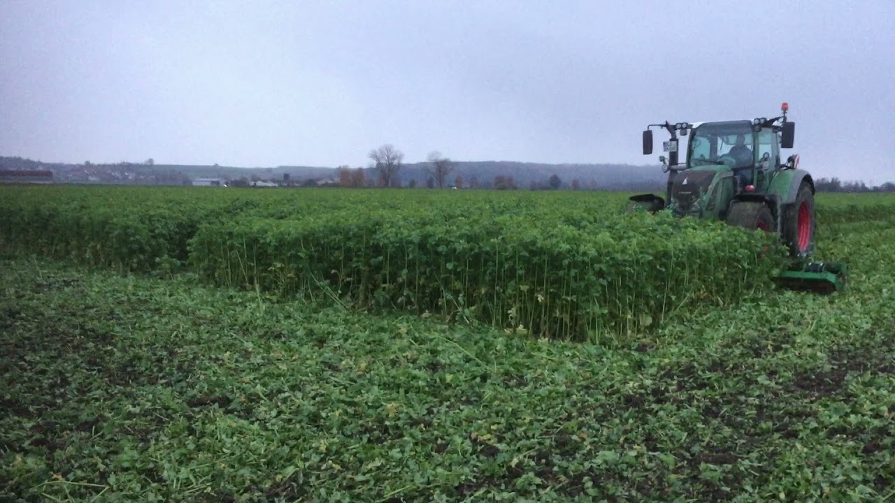Rouleau h&acirc;cheur X-Cut par Kerner