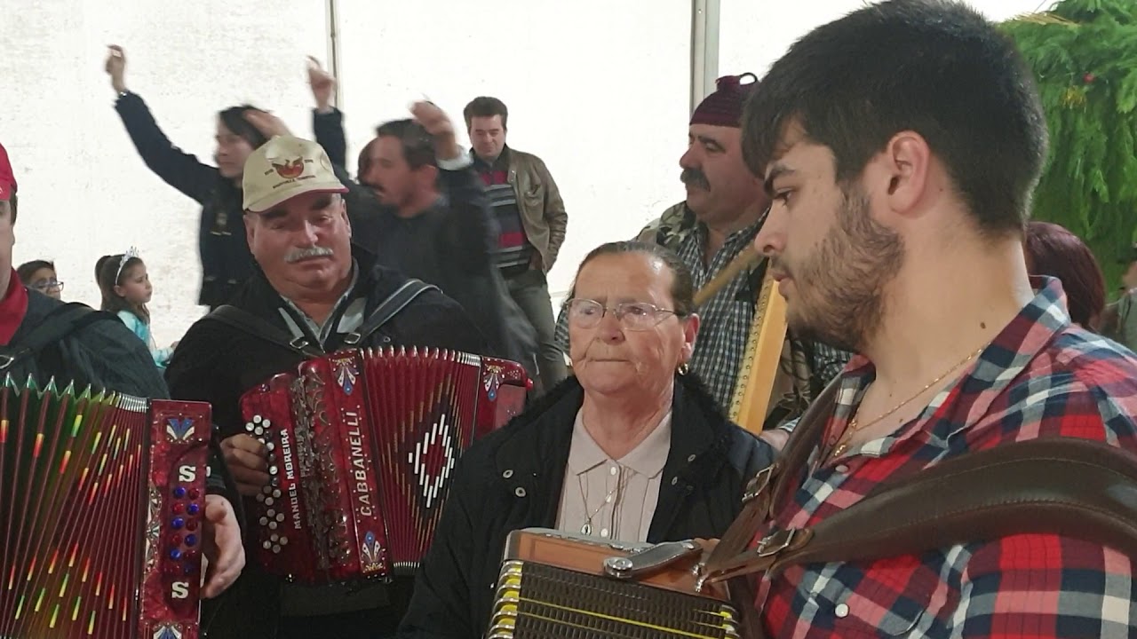 🔴 Cana Verde Cantada | Lindoso