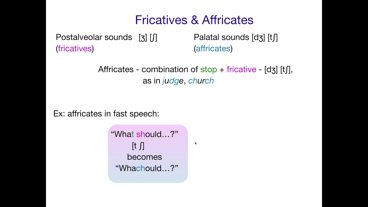 AcqOfLang1: Affricates