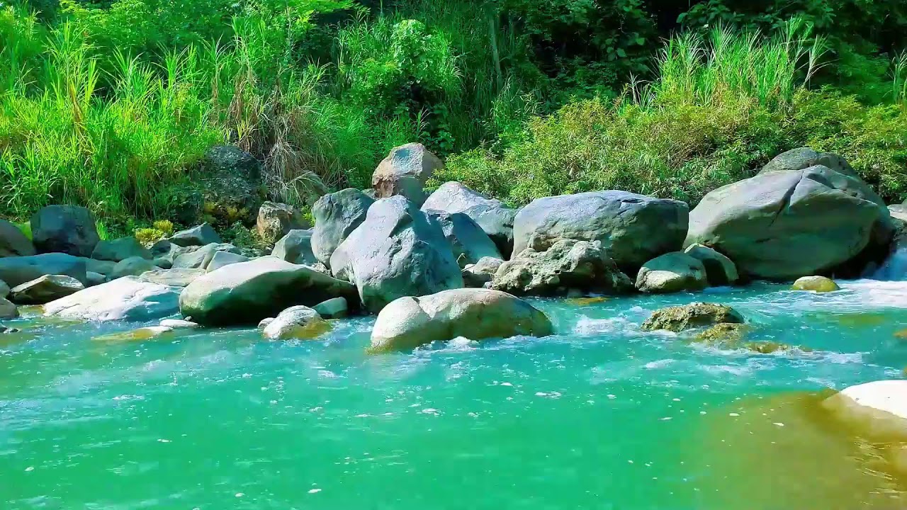 Relaxing Music with Water Sound – River Melodies for Peaceful Sleep
