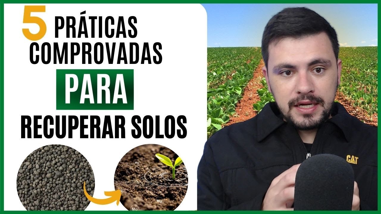 5 práticas comprovadas para RECUPERAR SOLOS degradados