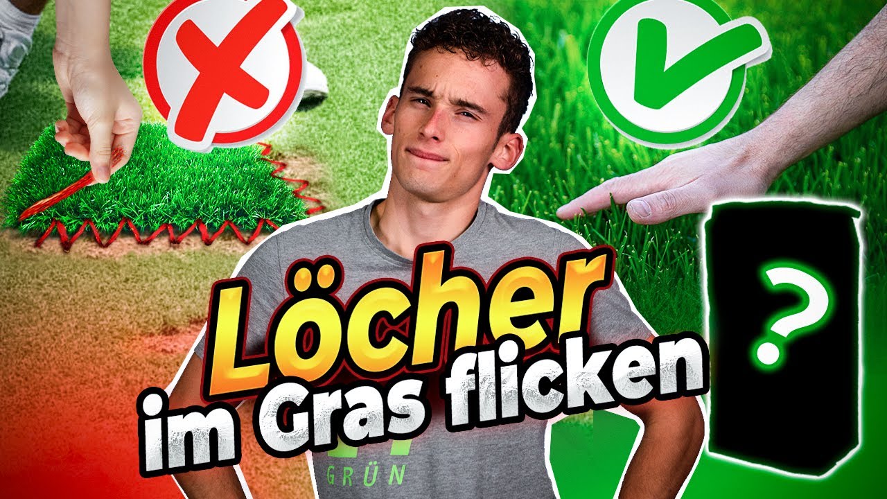 L&uuml;cken im Rasen? So klappt die Nachsaat! Anleitung | Turbogr&uuml;n
