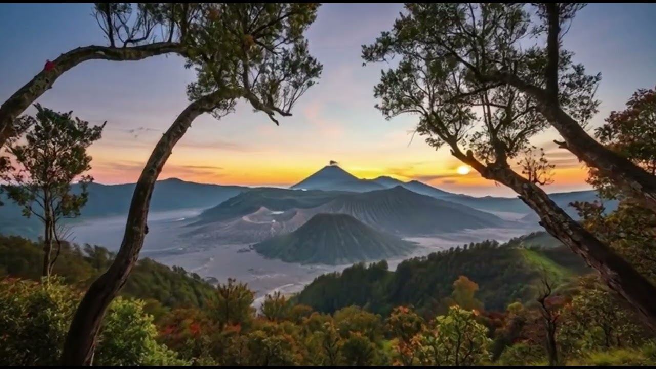 Forest scenery, listening to music, stop thinking too much, relieve stress, sleep well.