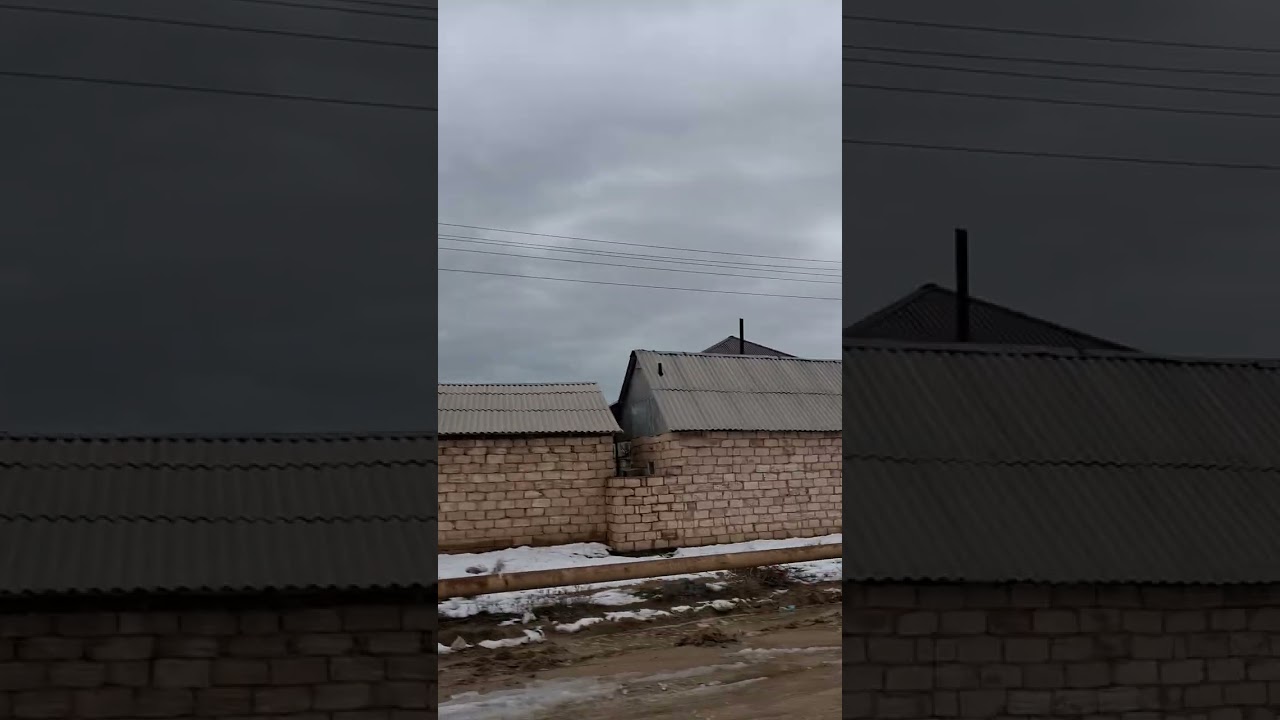 6 марта 2025 г.