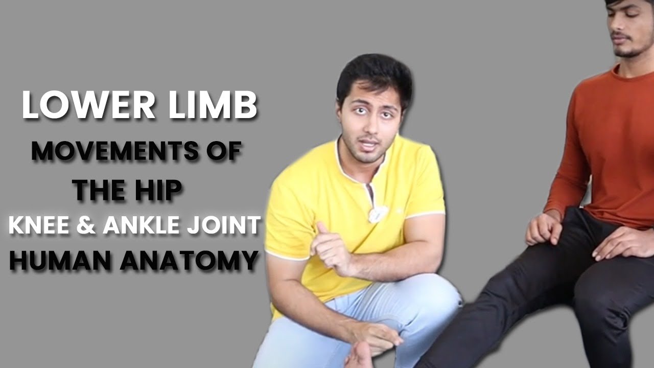 Lower Limb: Movements of the Hip, Knee and Ankle Joint | Human Anatomy | FGIIT