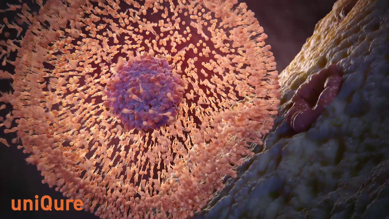 How AAV Gene Transfer Works - Expert Audience