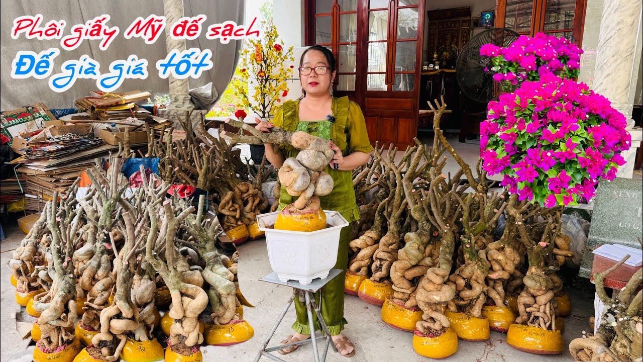 Phôi giấy Mỹ đế sạch đẹp giá tốt chào bán bao phí ship..25/02😘📲 0772.119.600.Quỳnh-Như 