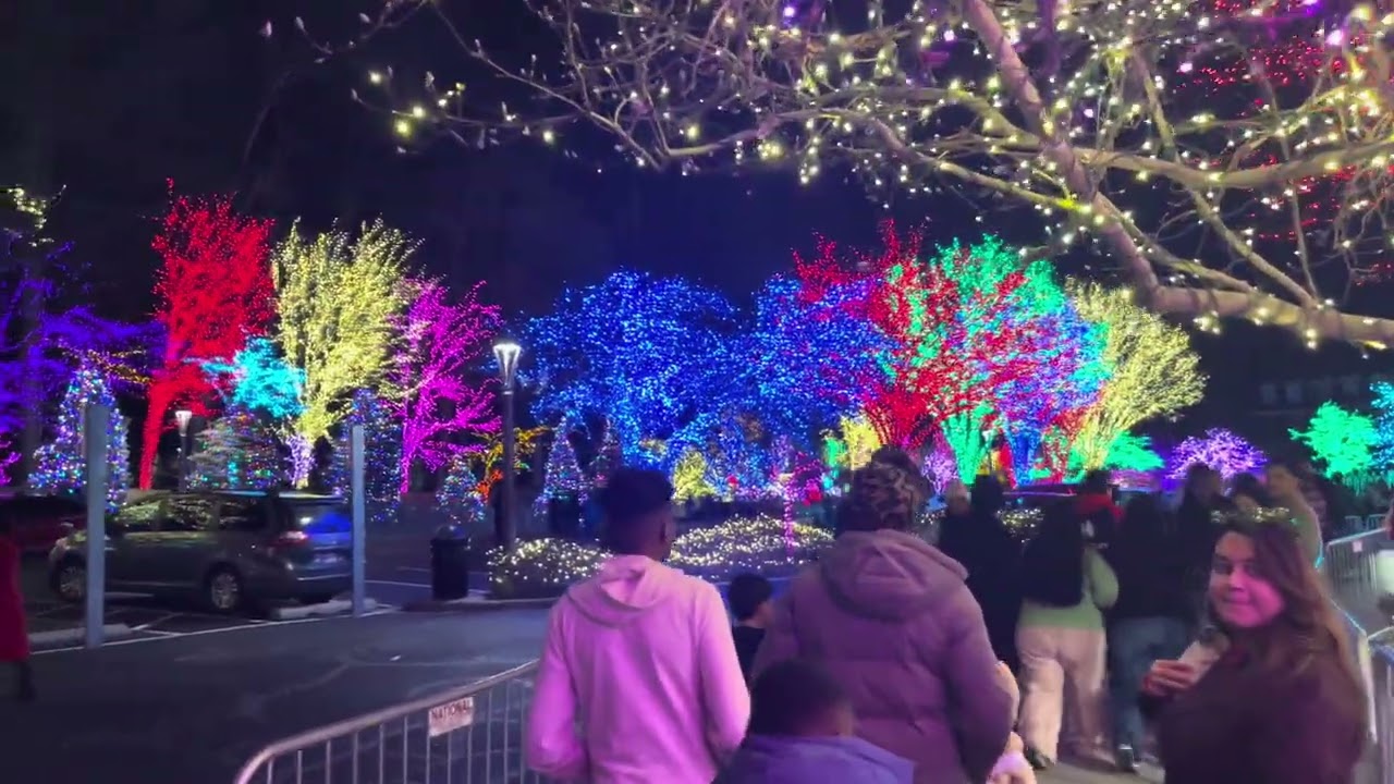 4K 🇺🇸 | Walking Tour of DMV Festival of Lights | Massive Lights Display, Kensington, Maryland 