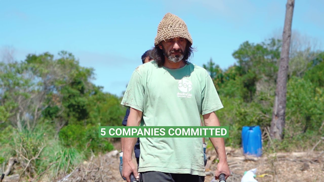 #Plantat&oacute;n Uruguay, 1,111 native trees planted to restore the coastal native forest