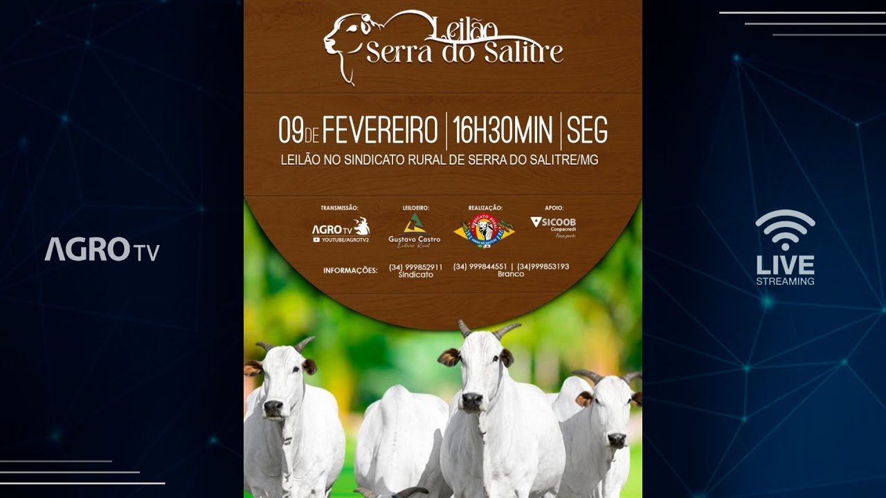 LEIL&Atilde;O SERRA DO SALITRE - 09/02/2026