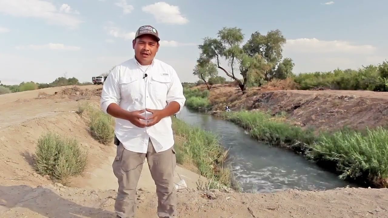 Delta del R&iacute;o Colorado