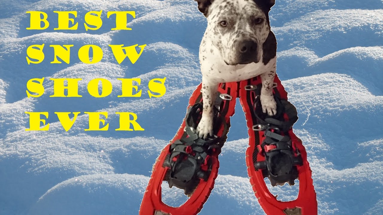 TSL Symbioz Elite Snowshoes - Not Your Grandpa's Snowshoes