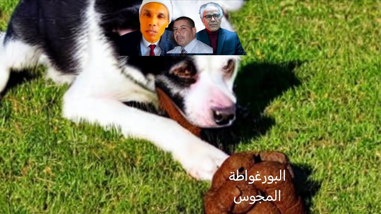 هدم أوثان البورغواطة المجوس وأتباعهم عبد الخالق كلاب عصيد أيلال المجوس