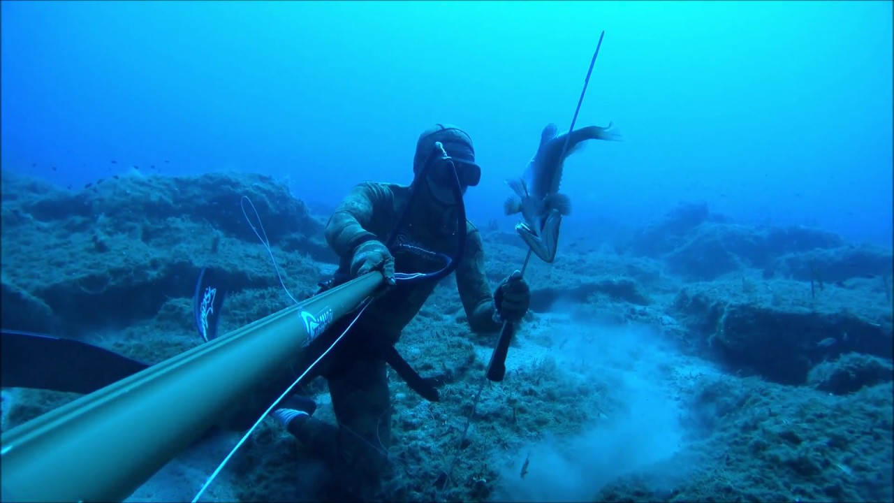 Ψαροντουφεκο ρηχά και βαθιά-Summer Spearfishing 2018-Team Sigalsub  Greece-DeepCarbon