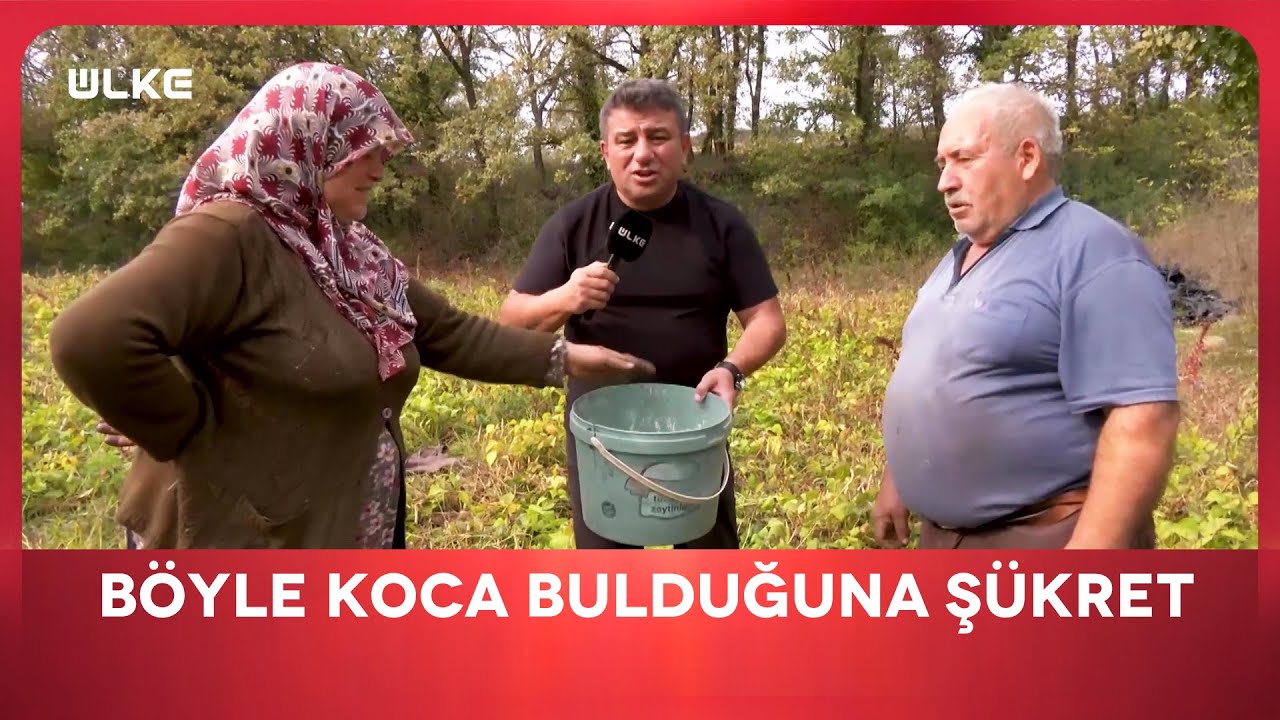 Kocamız Sağolsun Fasulye Topluyoruz | En İyisi Gezmek | Kocaeli