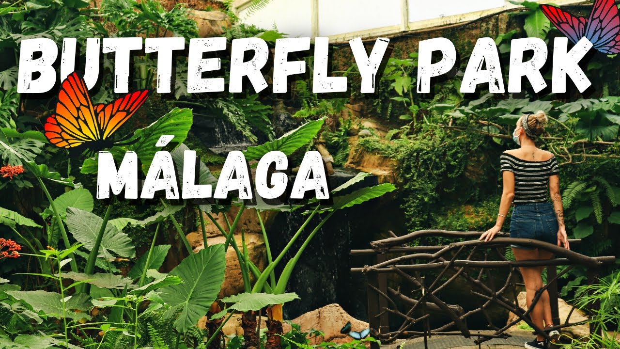 Europe&rsquo;s Largest Butterfly park in Malaga, Spain | Mariposario de Benalm&aacute;dena