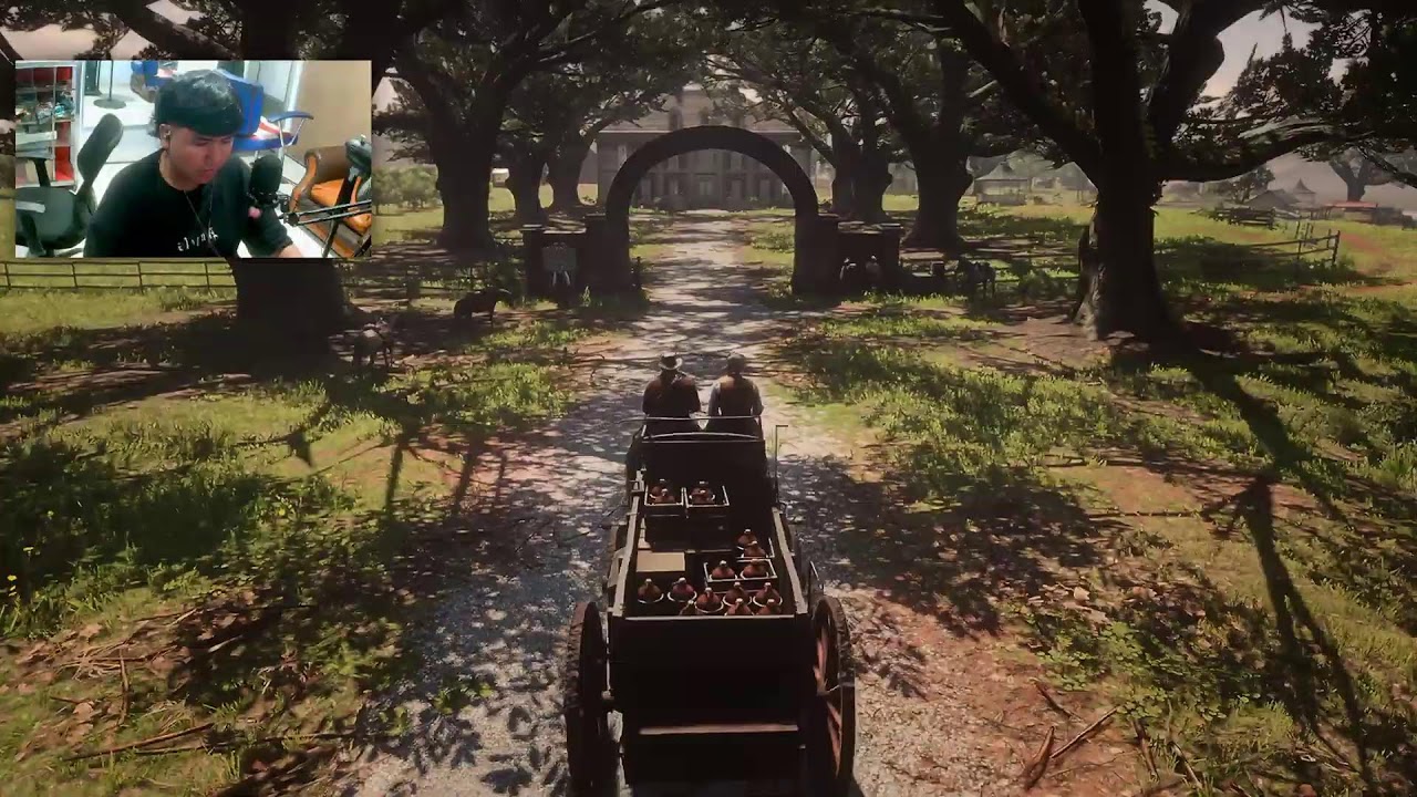 RDR2 MODO HISTORIA 9