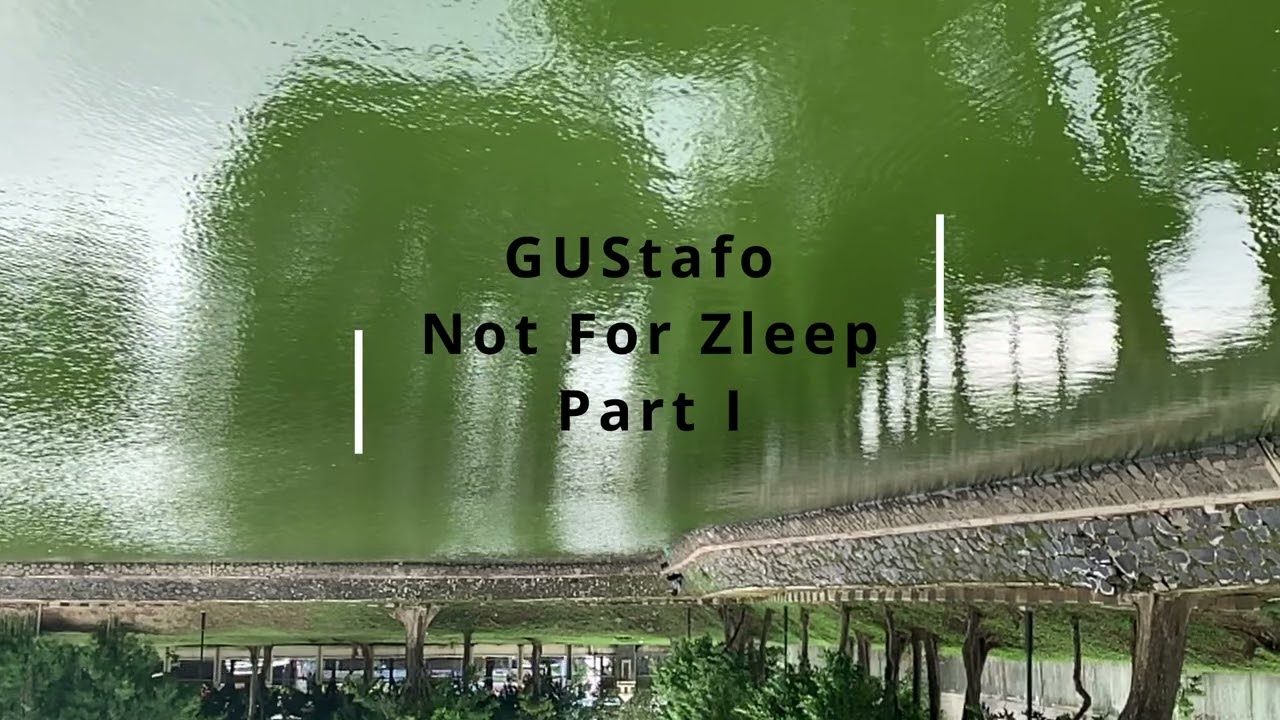 Gustafo   Not For Zleep Part I