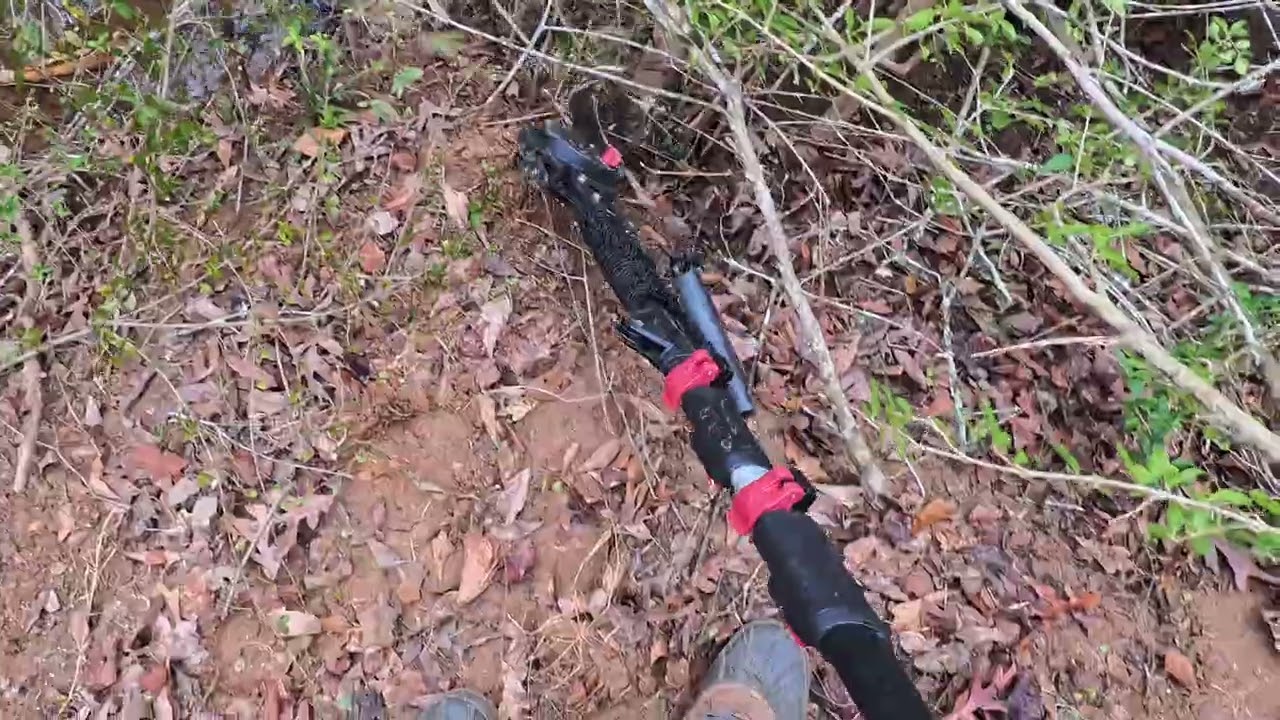 Sawing broken privit next to river   pole saw mounted Insta360goultra camera