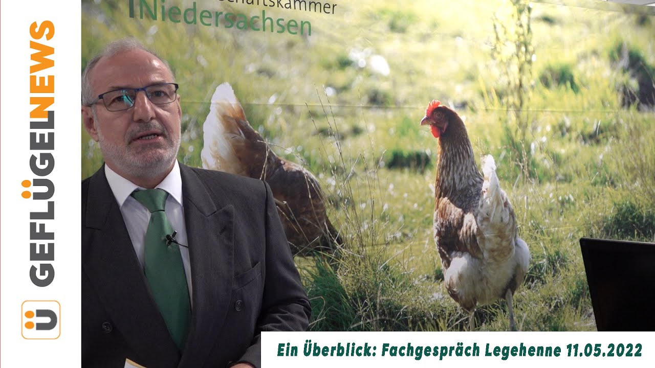 Ein &Uuml;berblick: Fachgespr&auml;ch Legehenne 2022