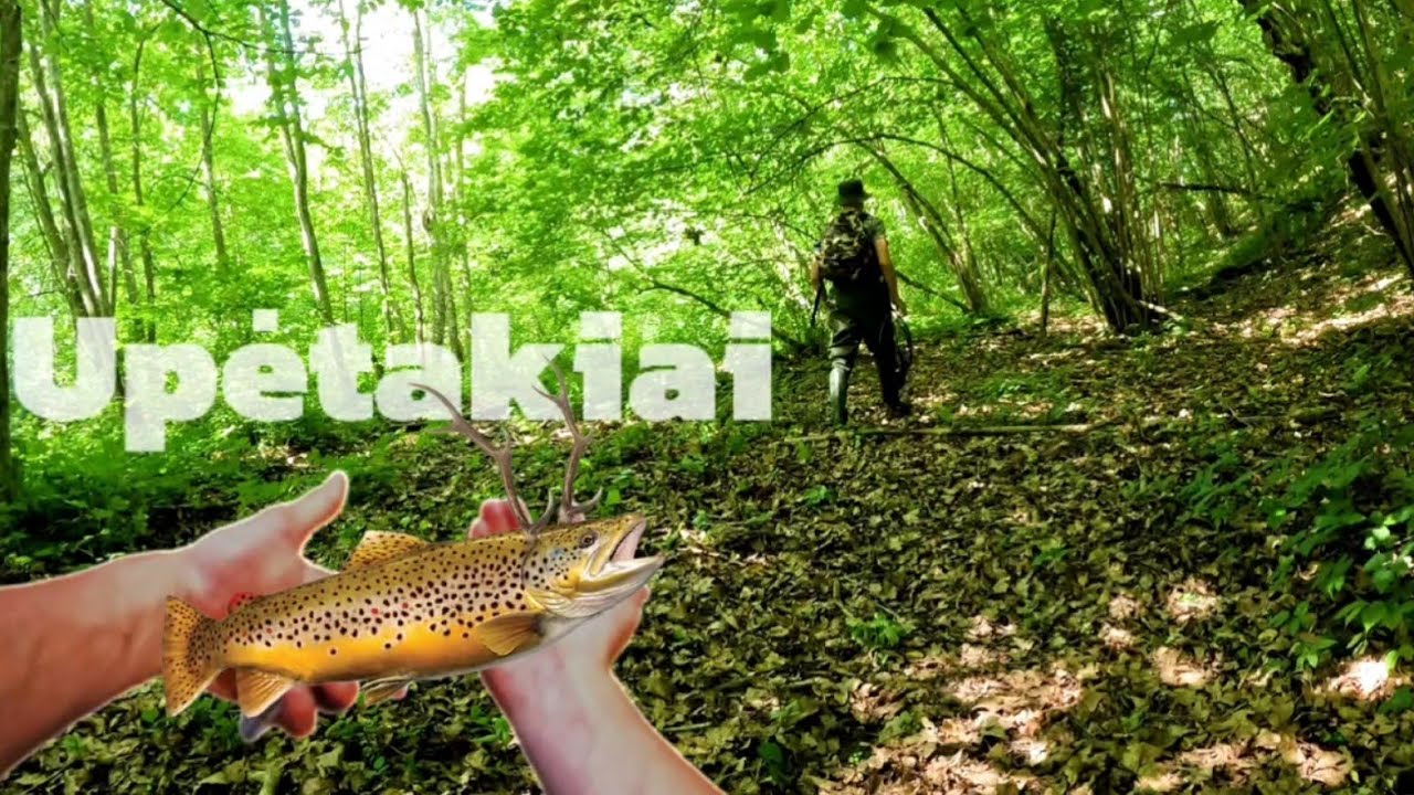 UPĖTAKIŲ Žvejyba, Maistas Ir Geras Laikas GAMTOJE