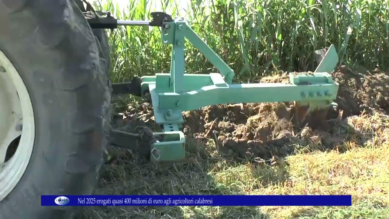 Nel 2025 erogati quasi 400 milioni di euro agli agricoltori calabresi