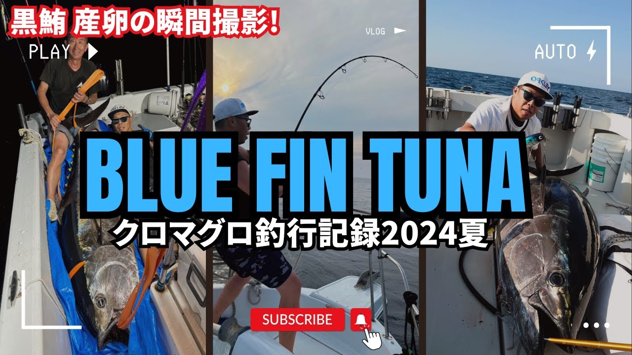 黒マグロ100㌔超キャッチ! 自船で巨大マグロに挑む!! 神秘的マグロの産卵現場に遭遇 Bluefin Tuna