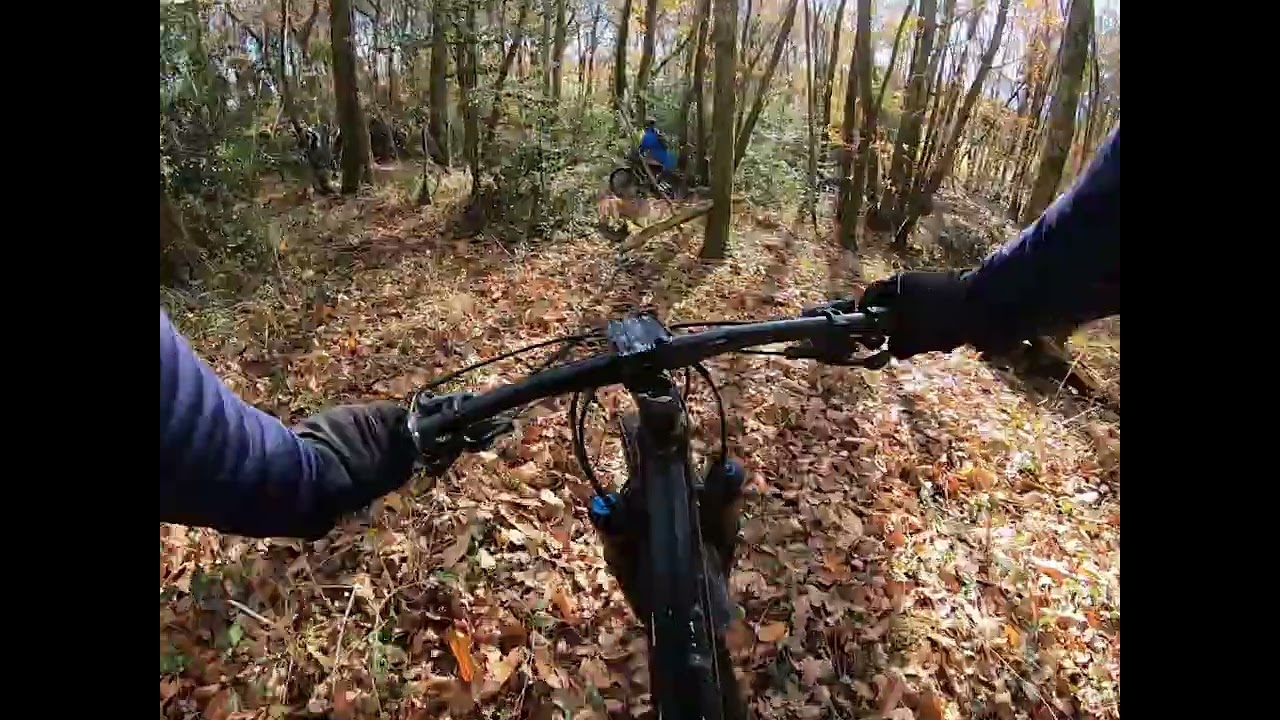 VTT