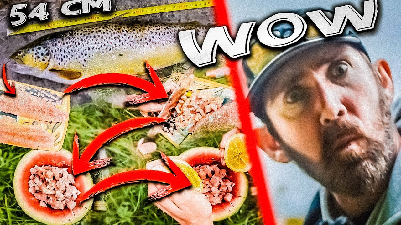 Fisch ohne Kochen zubereiten! (ihr wollt nichts anderes mehr!)