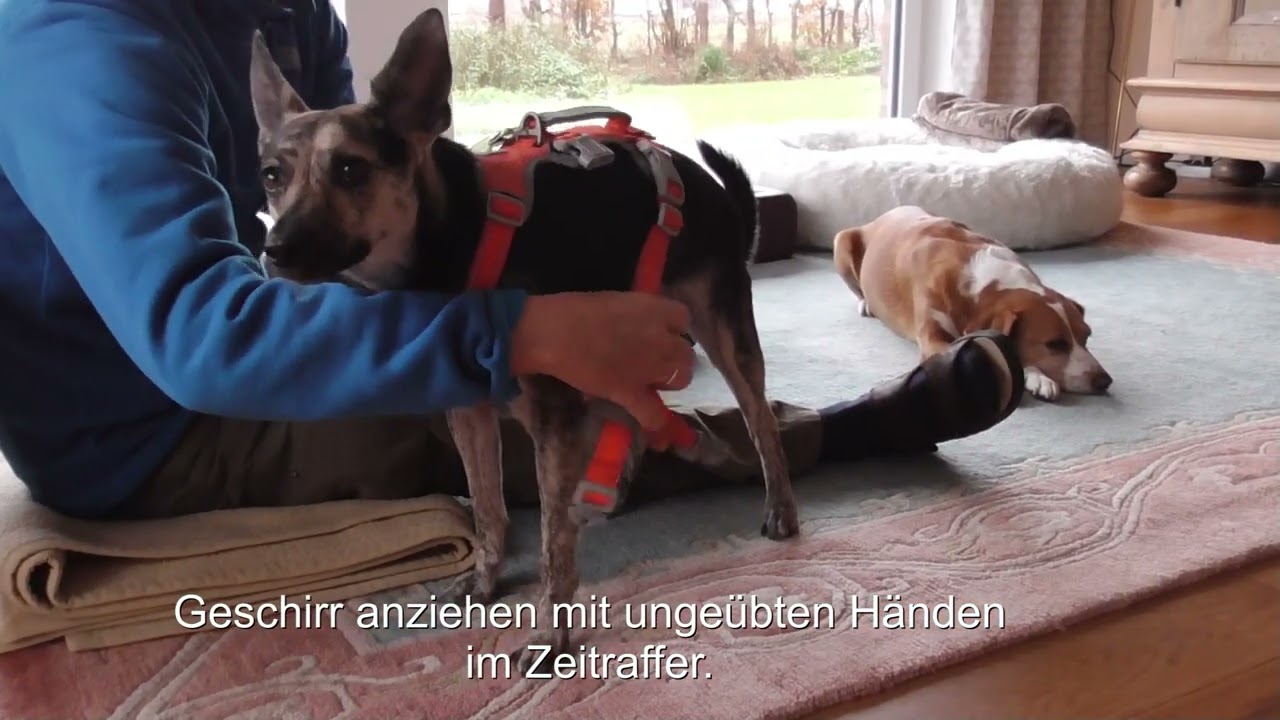 Fines 42. Woche bei uns - Halt finden.