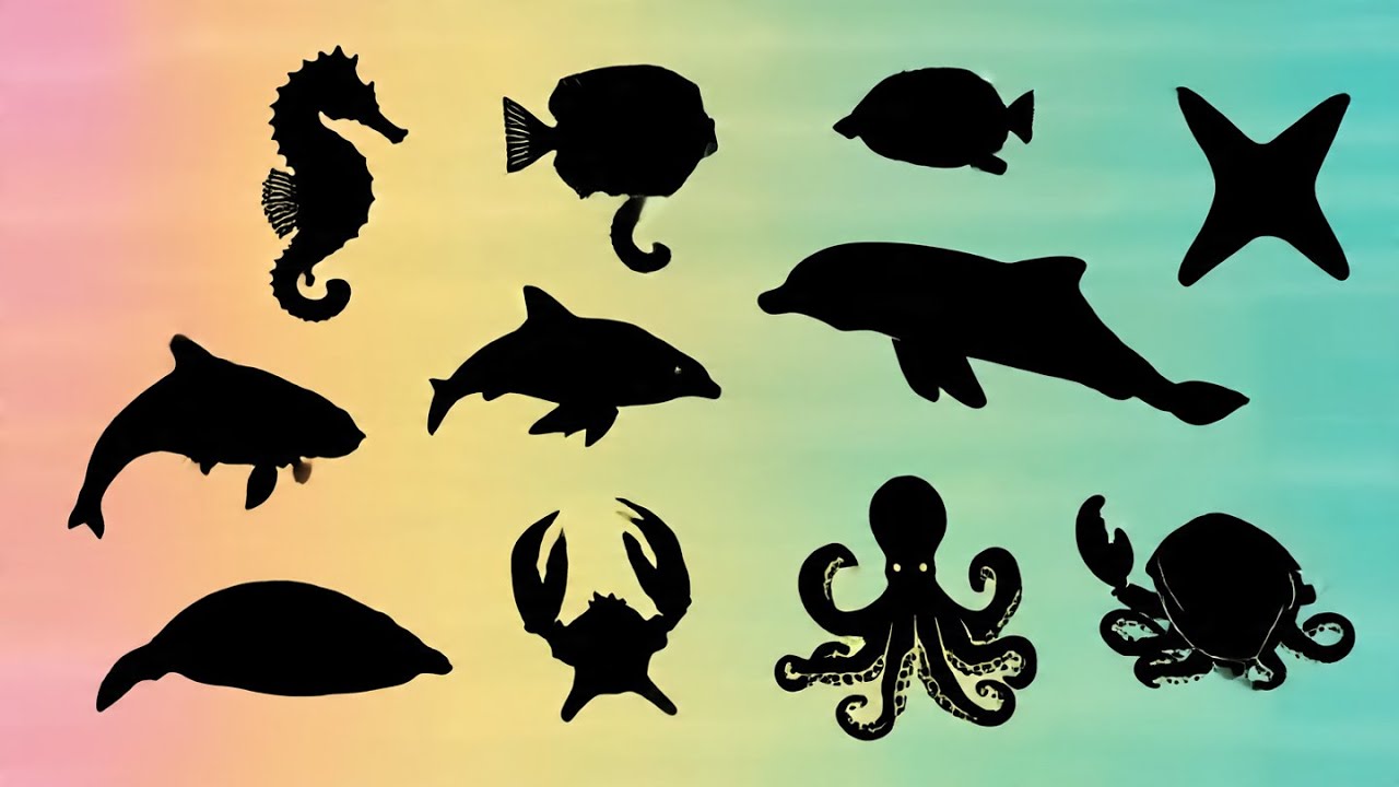 ¡Adivina la Sombra del Animal Marino! 🐠🌊 | ¿Puedes Acertar Todos?