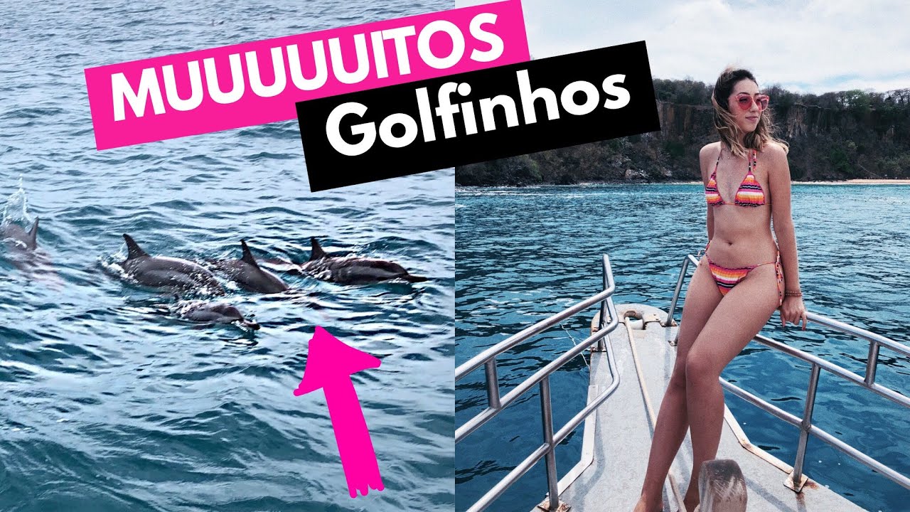 FERNANDO DE NORONHA #3 VENDO GOLFINHOS 😱