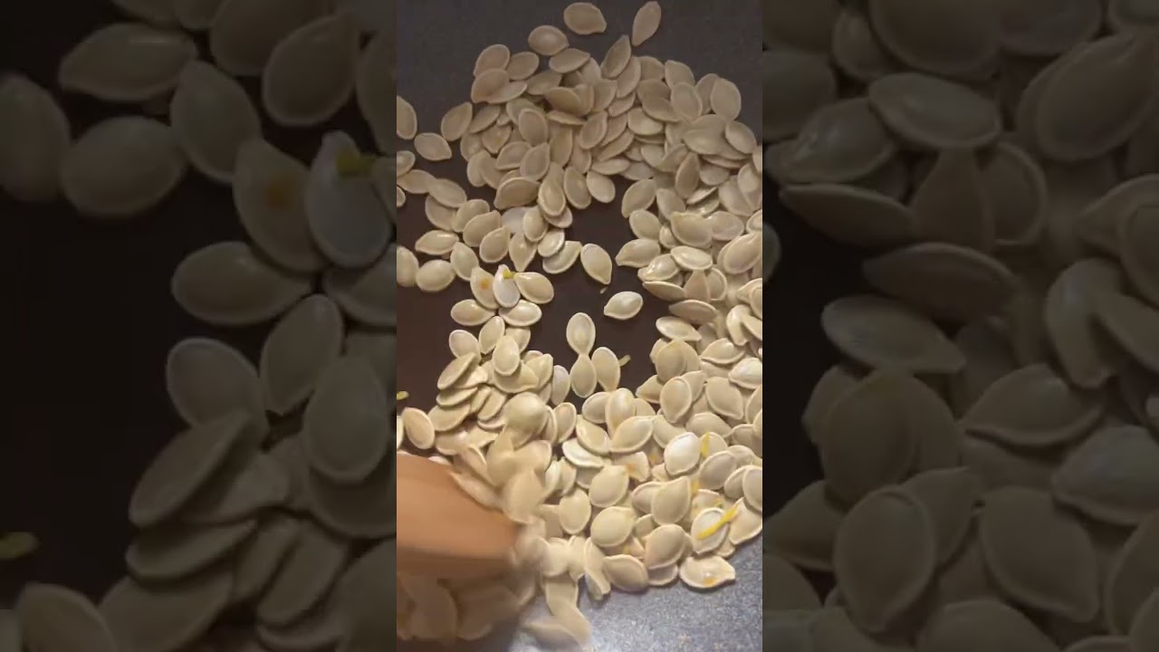 How I Roast Pumpkin Seeds #shorts