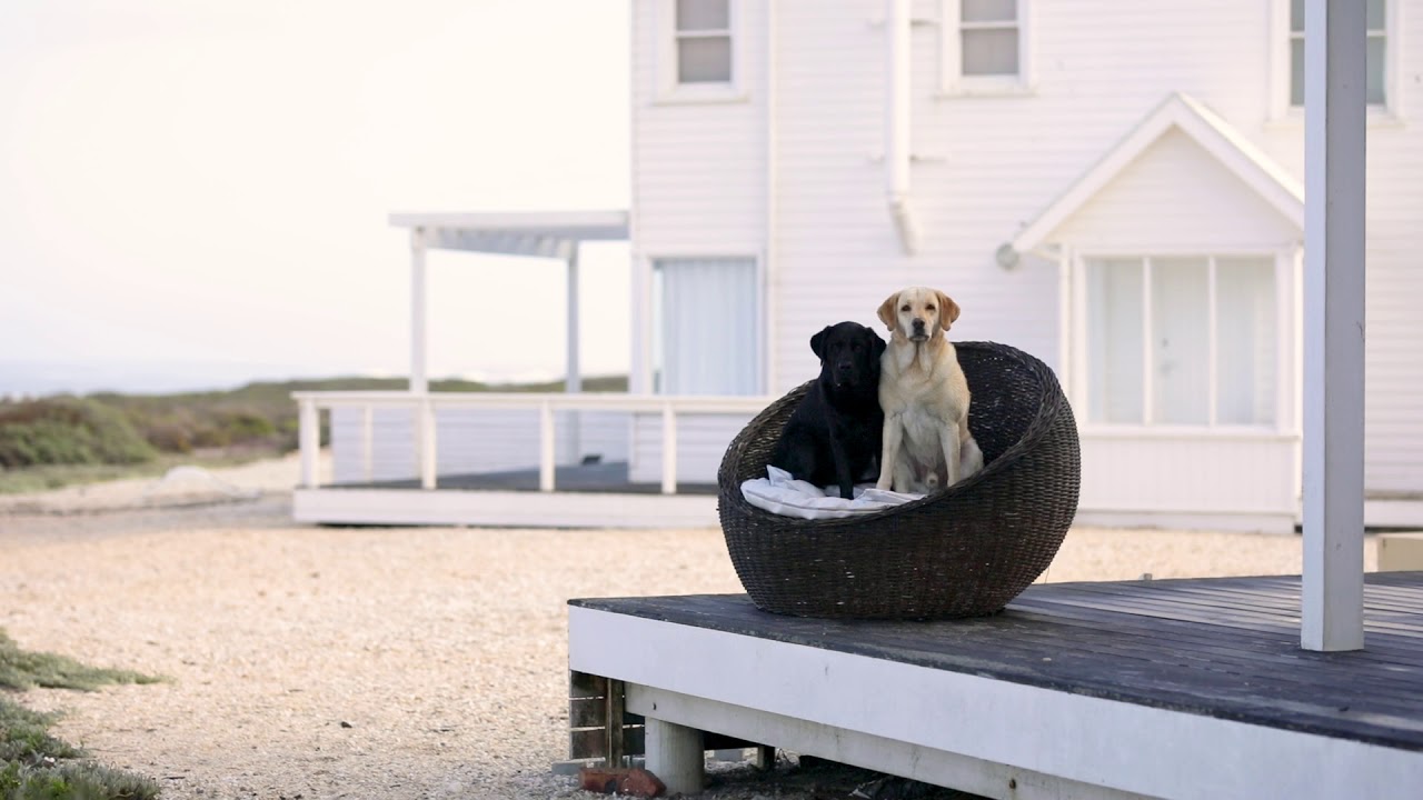 The Beach House Collection Part 1 , Yzerfontein by DOG MEETS GIRL