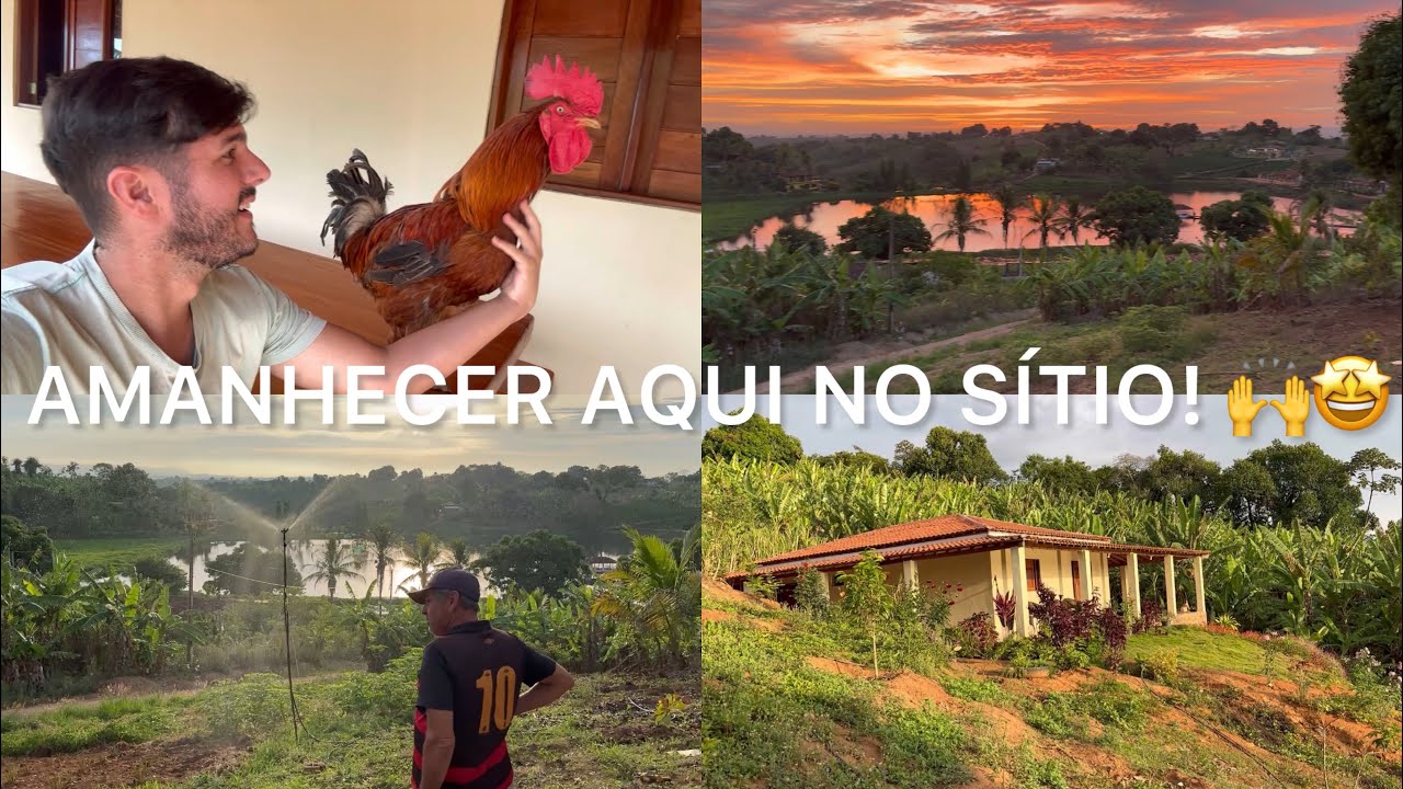 VEJAM ESSE AMANHECER 🤩 UMA VERDADEIRA OBRA DE ARTE !!! 🙏 